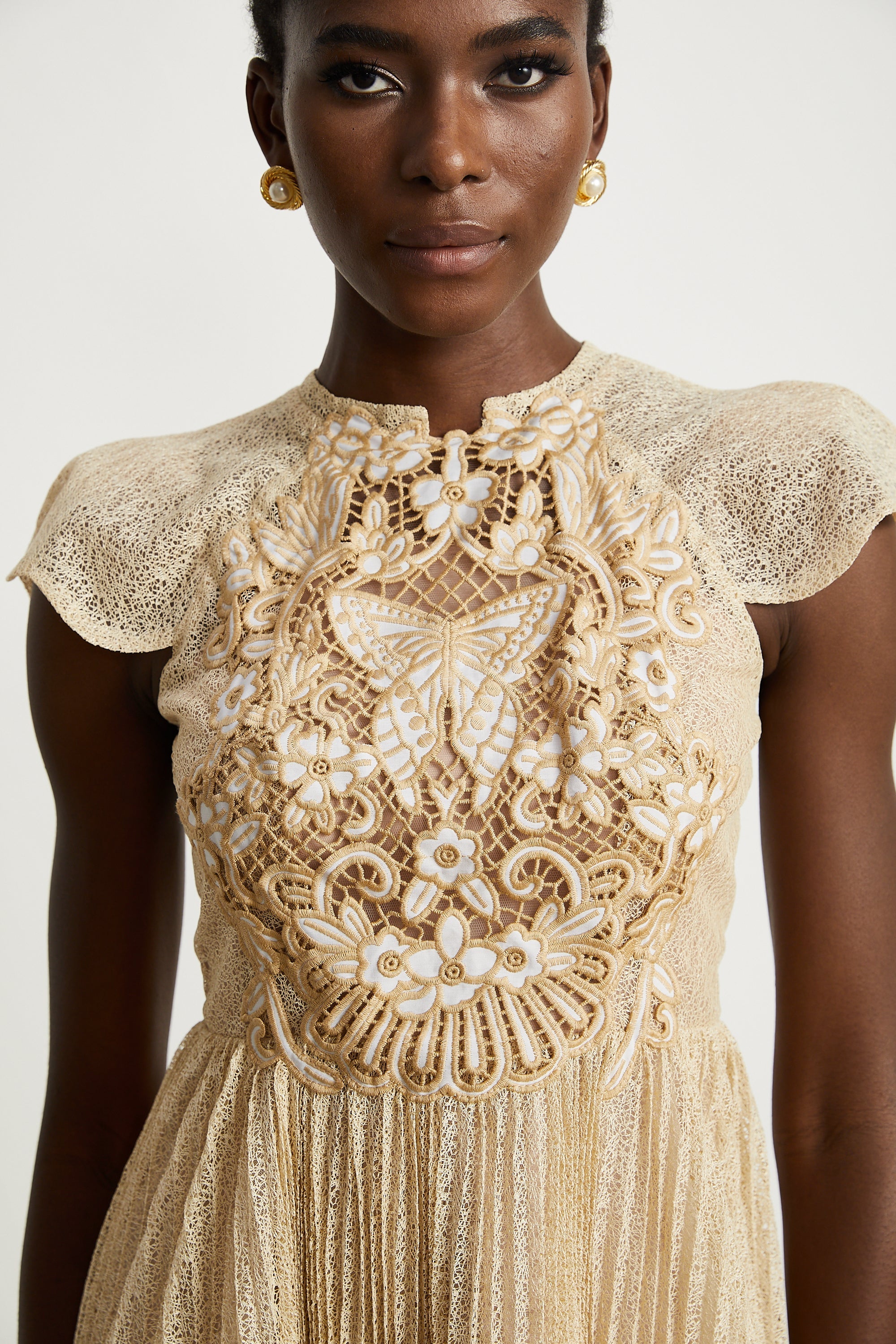 Nerissa embroidered pleated midi dress (Final Sale-US Only)
