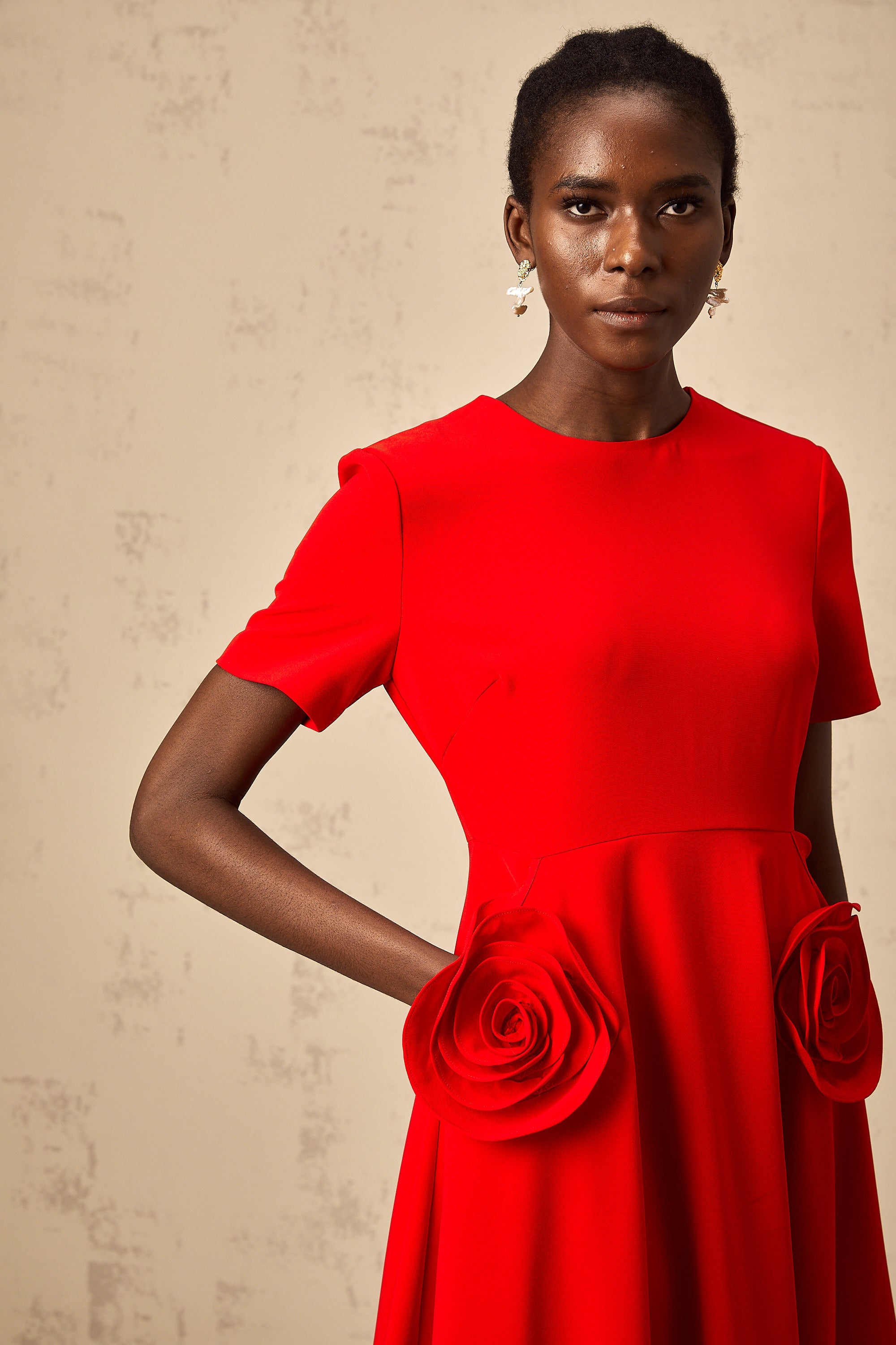 Isolde red floral-appliqué midi dress (Final Sale-US Only)