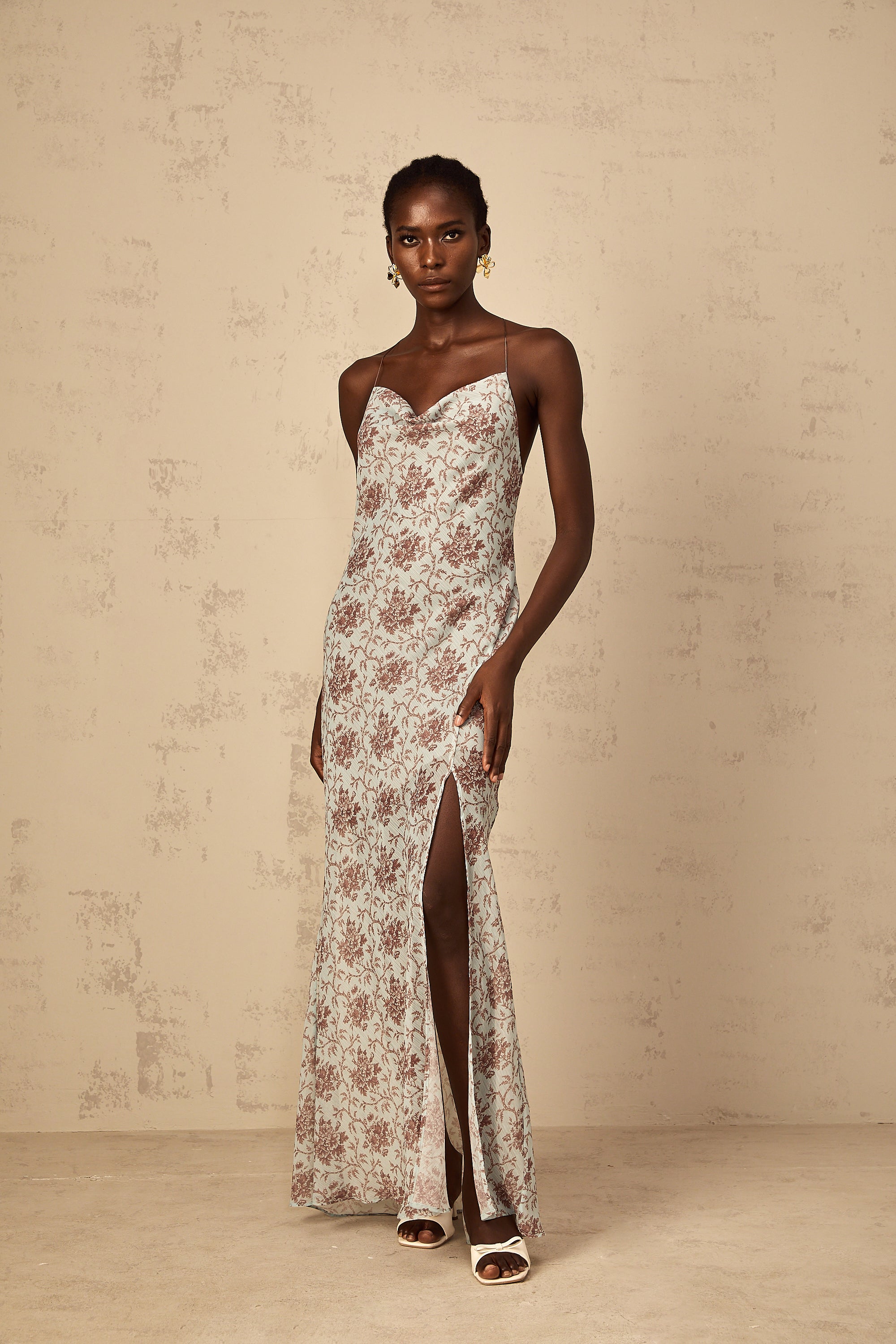 Honorine Blue Sleeveless Floral Print Maxi Dress (Final Sale)