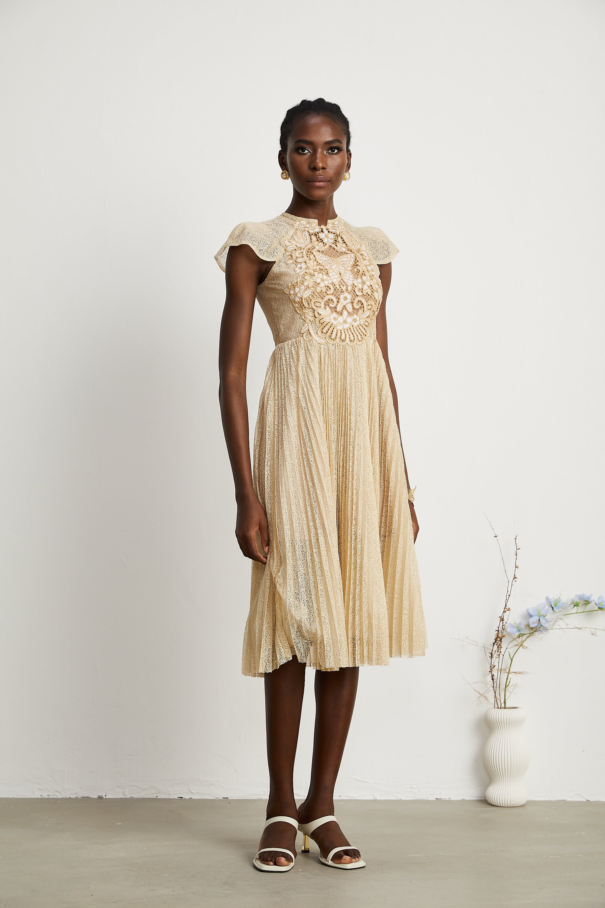 Nerissa embroidered pleated midi dress (Final Sale-US Only)