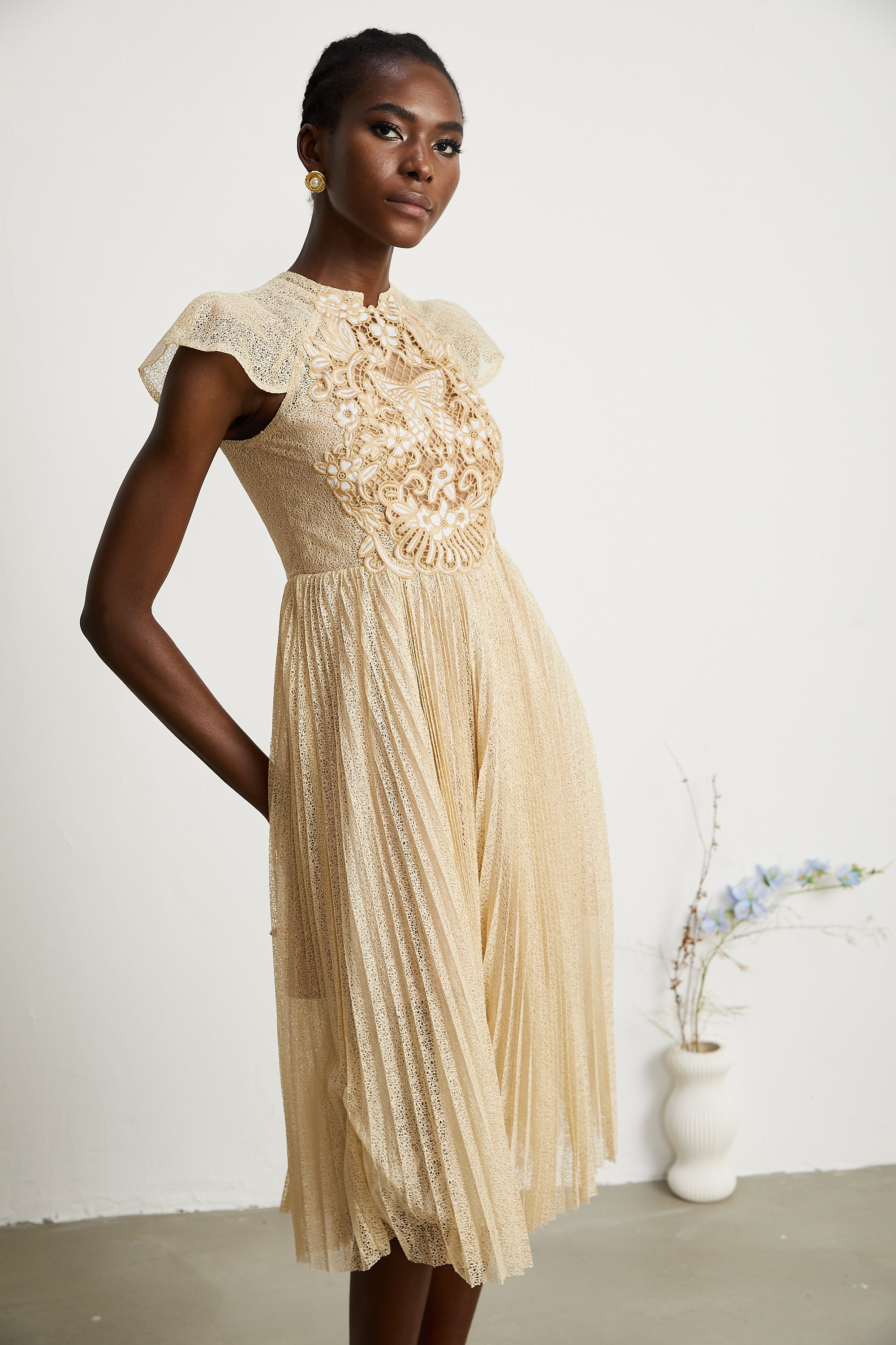 Nerissa embroidered pleated midi dress (Final Sale-US Only)