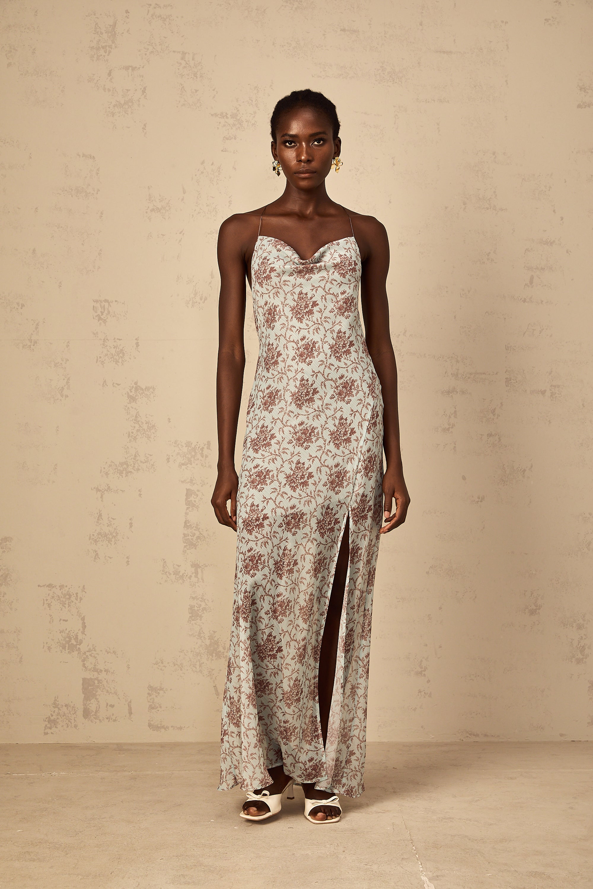 Honorine Blue Sleeveless Floral Print Maxi Dress (Final Sale)