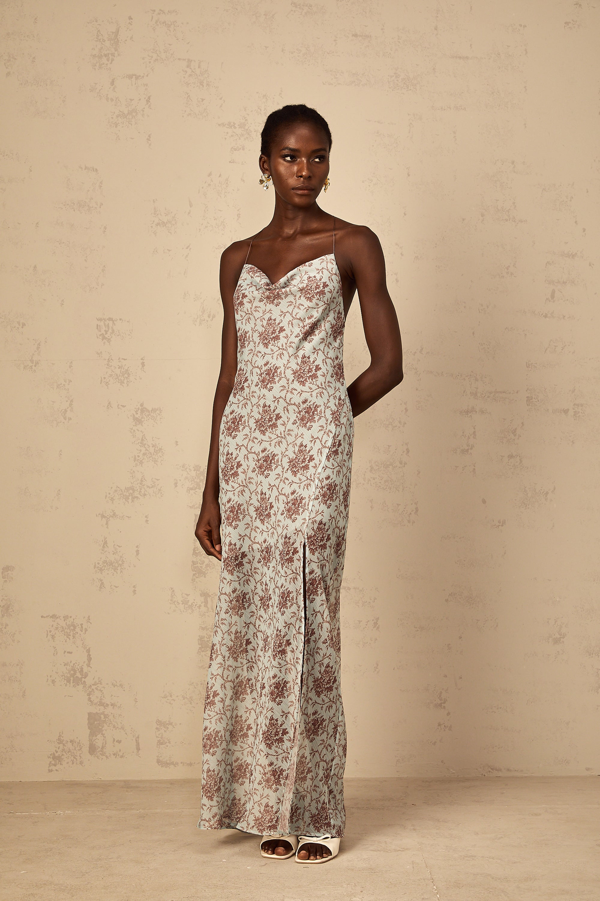 Honorine Blue Sleeveless Floral Print Maxi Dress (Final Sale)